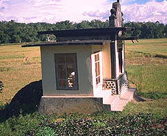 Toraja Scenery grave house