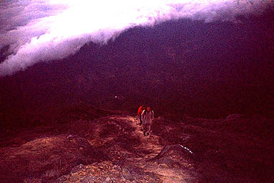 Volcano Mount Agung Bali above clouds