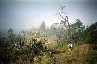 Volcano Mount Agung Bali back in the woods