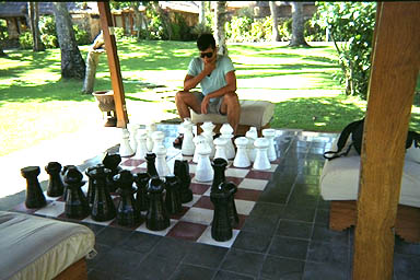 Bali Bali Bali Bali Bali Bali Bali Bali chess