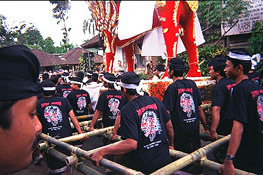 Balinese Funeral in Ubud carrying 