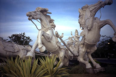 Bali Bali Bali Bali Bali Bali Bali Bali horses