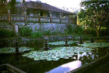 Tirta Ganga Water Palace Bali lillypads