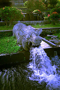 Tirta Ganga Water Palace Bali pig