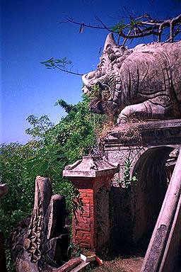 Tirta Ganga Water Palace Bali ujung pig