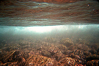 Tulamben Liberty Shipwreck surface