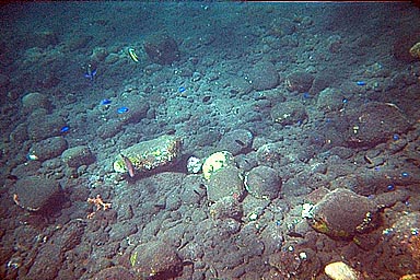 Tulamben Liberty Shipwreck swim to shore