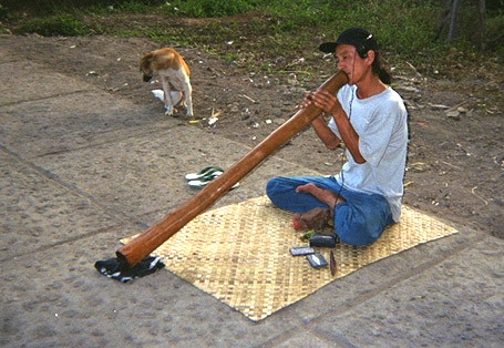 Ubud musician