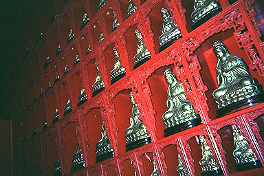 Hong Kong 10,000 buddhas