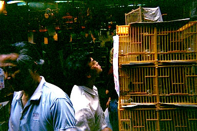 Hong Kong bird market