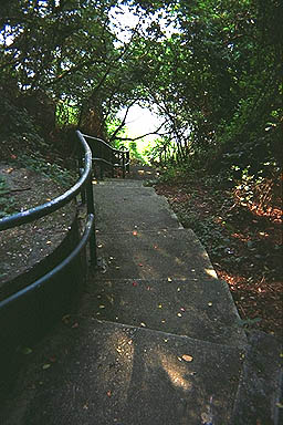 Hong Kong path