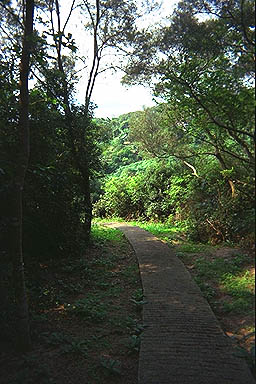 Hong Kong path