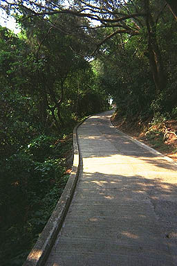 Hong Kong path