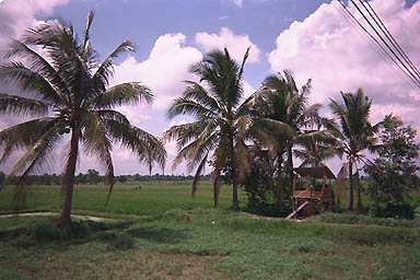 Saigon countryside