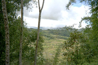 Sulawesi countryside