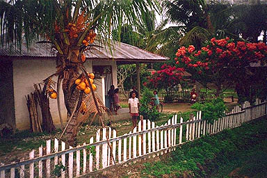 Lake Poso a house