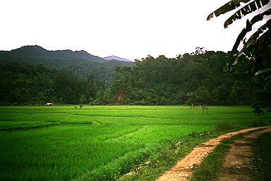 Lake Poso back from the falls