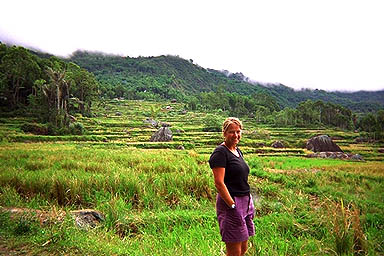Toraja Scenery Julie