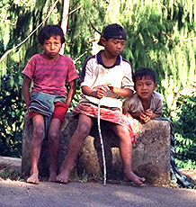 Toraja Scenery kids