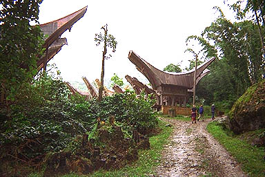Toraja path to sacrifice