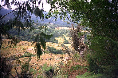 Toraja Scenery view 